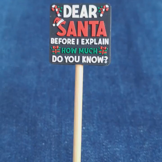 Dear Santa Funny Text Stitch Stopper