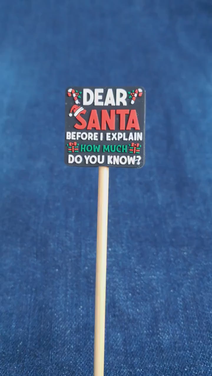 Dear Santa Funny Text Stitch Stopper